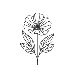 Flower illustration-minimal-art-design