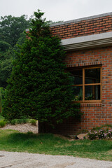 Brick House Corner with Green Bush and Window