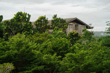 Wooden house surrounded by lush green trees