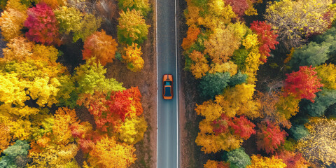 Aerial view of a car driving along an autumn forest road in the countryside.