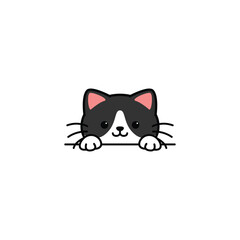 Cute black and white cat peeking cartoon, vector illustration