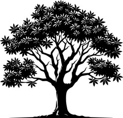 Obraz premium Camphor Tree icon 7