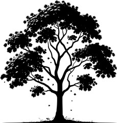 Box Elder Tree icon 8