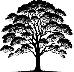 Obraz premium Box Elder Tree icon 4