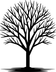 Blue Palo Verde Tree icon 13