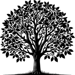 Obraz premium Black Walnut Tree icon 8