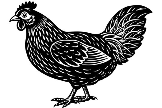 recommend clip art: chicken silhouette vector illustration