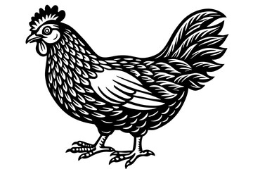 chicken silhouette vector illustration