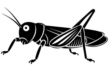 grasshopper silhouette vector illustration