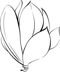 Vector flower, magnolia contour. Paris springtime, hand drawn line. Botanical illustration, flora. Black circuit silhouette