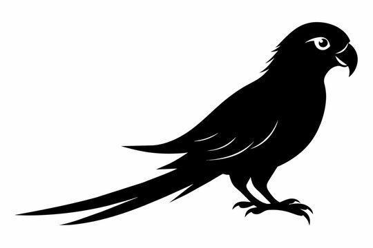 recommend clip art: parakeet bird silhouette vector illustration