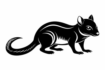 quoll animal silhouette vector illustration