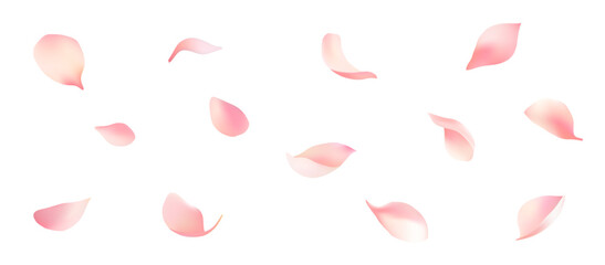 Beautifully dancing petals vector material © fromage