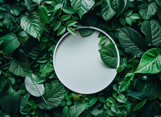 White circle mockup on green leaves background. Minimal nature concept for product presentation. Mock up card with copy space. White round frame on leaf pattern.