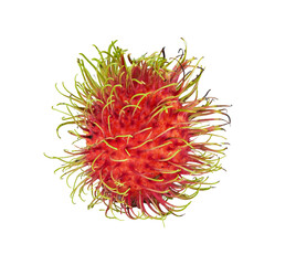 Rambutan fruit isolated on transparent.
