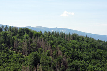 A view of a forest and mountains, a radio and television tower at the top of the Łabski Szczyt, the Karkonosze National Park, Poland