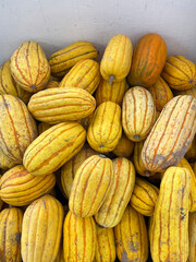 Fototapeta premium Yellow brown striped carnival squash