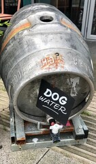 The beautiful city of London