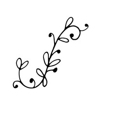 Abstract Floral Botanical Line Art Hand Drawn Divider