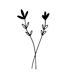 Abstract Floral Botanical Line Art Hand Drawn