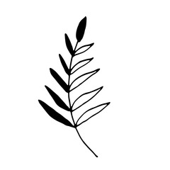 Abstract Floral Botanical Line Art Hand Drawn