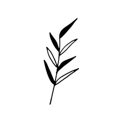 Abstract Floral Botanical Line Art Hand Drawn