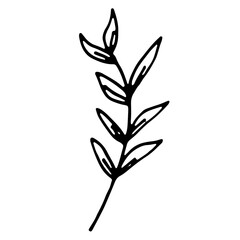 Abstract Floral Botanical Line Art Hand Drawn