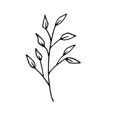 Abstract Floral Botanical Line Art Hand Drawn