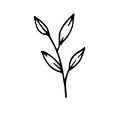 Abstract Floral Botanical Line Art Hand Drawn