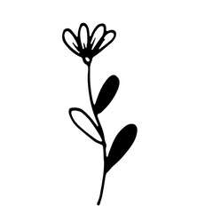 Abstract Floral Botanical Line Art Hand Drawn