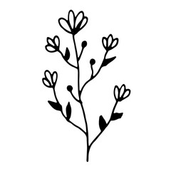 Abstract Floral Botanical Line Art Hand Drawn