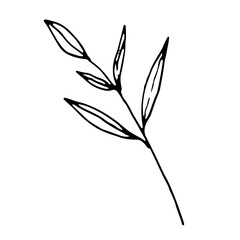 Abstract Floral Botanical Line Art Hand Drawn