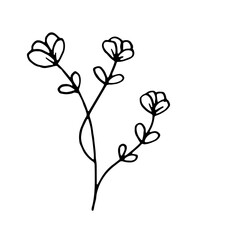 Abstract Floral Botanical Line Art Hand Drawn