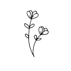 Abstract Floral Botanical Line Art Hand Drawn