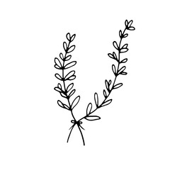 Abstract Floral Botanical illustration Doodle Hand Drawn Line Art