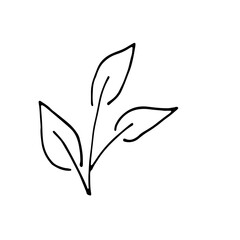 Abstract Floral Botanical illustration Doodle Hand Drawn Line Art