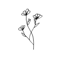 Abstract Floral Botanical illustration Doodle Hand Drawn Line Art