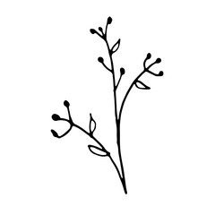 Abstract Floral Botanical illustration Doodle Hand Drawn Line Art