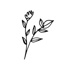 Abstract Floral Botanical illustration Doodle Hand Drawn Line Art