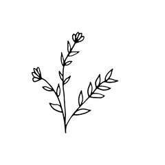 Abstract Floral Botanical illustration Doodle Hand Drawn Line Art