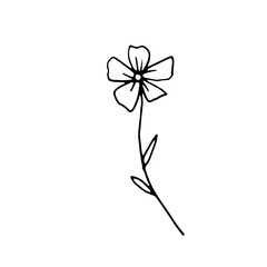 Abstract Floral Botanical illustration Doodle Hand Drawn Line Art