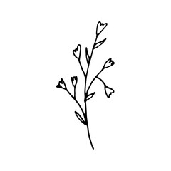 Abstract Floral Botanical illustration Doodle Hand Drawn Line Art