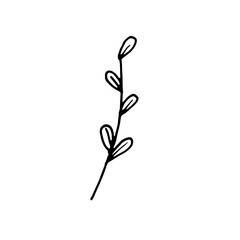 Abstract Floral Botanical illustration Doodle Hand Drawn Line Art