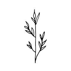 Abstract Floral Botanical illustration Doodle Hand Drawn Line Art