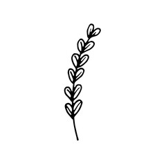 Abstract Floral Botanical illustration Doodle Hand Drawn Line Art