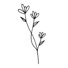 Abstract Floral Botanical illustration Doodle Hand Drawn Line Art