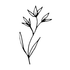 Abstract Doodle Line Art Floral Botanical 