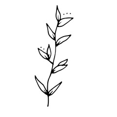 Floral Botanical Abstract Doodle Hand Drawn Line Art