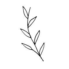 Floral Botanical Abstract Doodle Hand Drawn Line Art