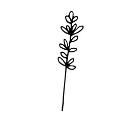 Floral Botanical Abstract Doodle Hand Drawn Line Art